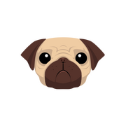 pug.js